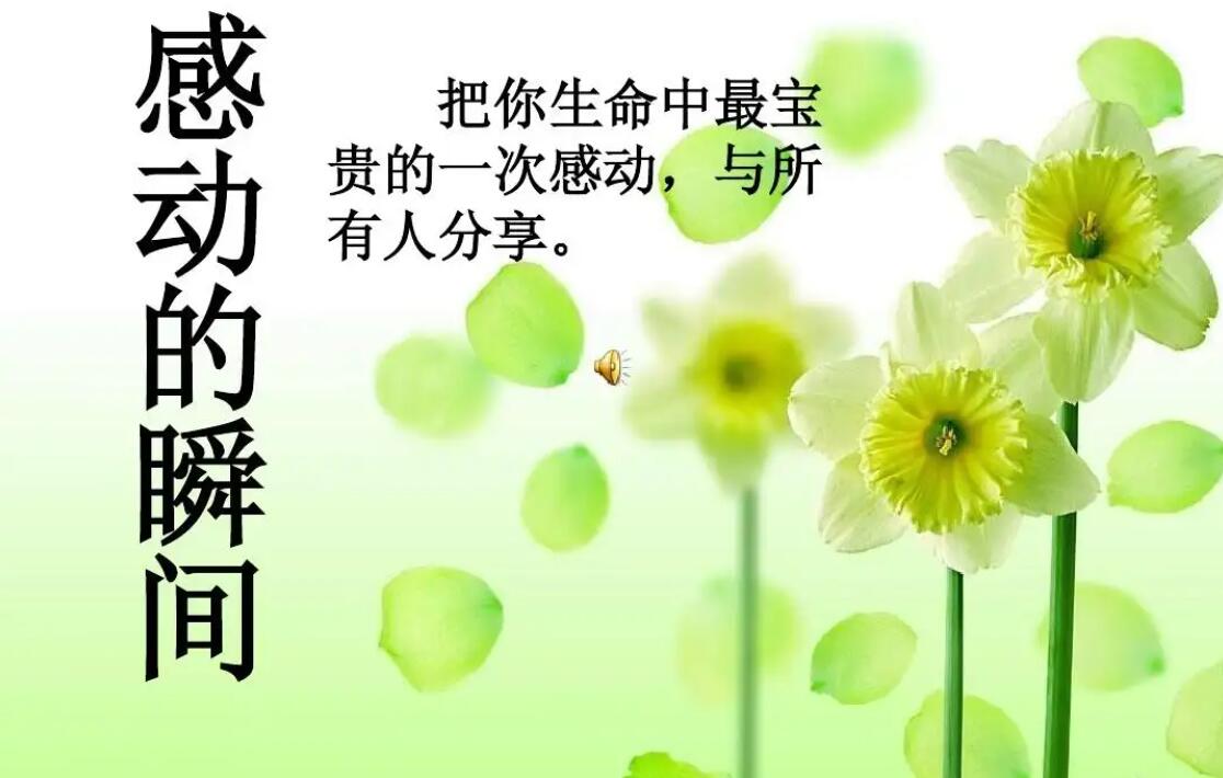 感动的.jpg 感动的.jpg