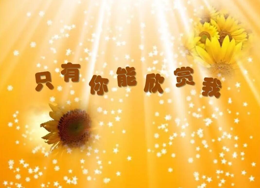 我欣赏你.jpg 我欣赏你.jpg