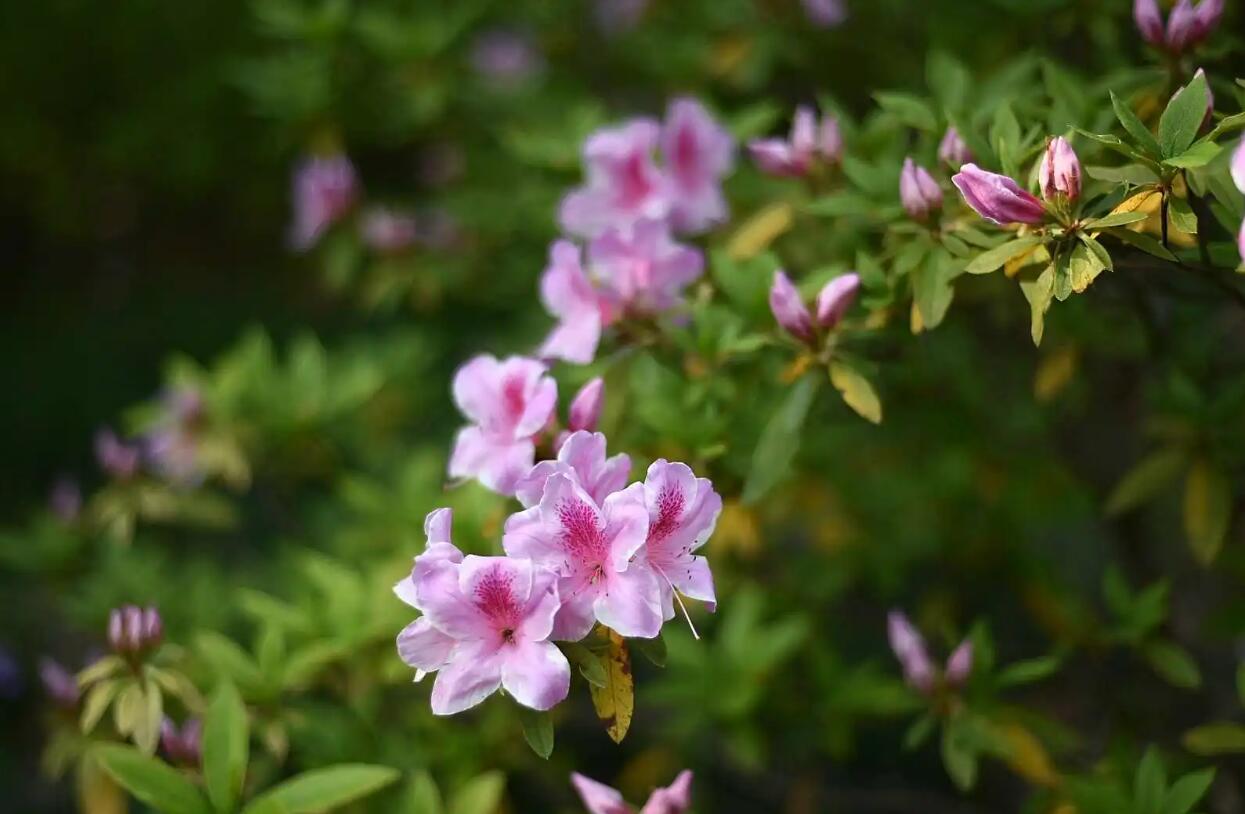 我最欣赏.jpg 我最欣赏.jpg