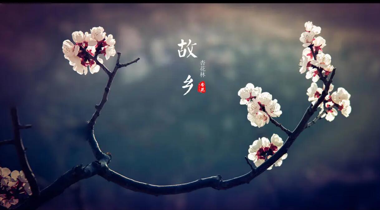 关于故乡.jpg 关于故乡.jpg