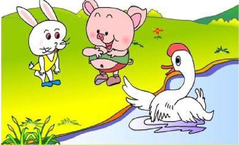 小猪变干净了.jpg 小猪变干净了.jpg