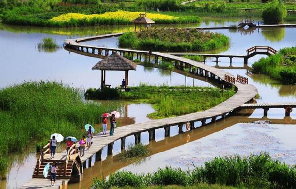 游湿地公园.jpg 游湿地公园.jpg