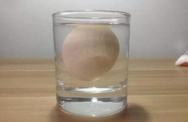 盐水浮鸡蛋的小实验.jpg
