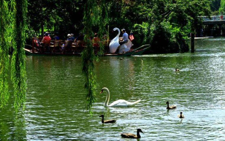 天鹅公园.jpg 天鹅公园.jpg