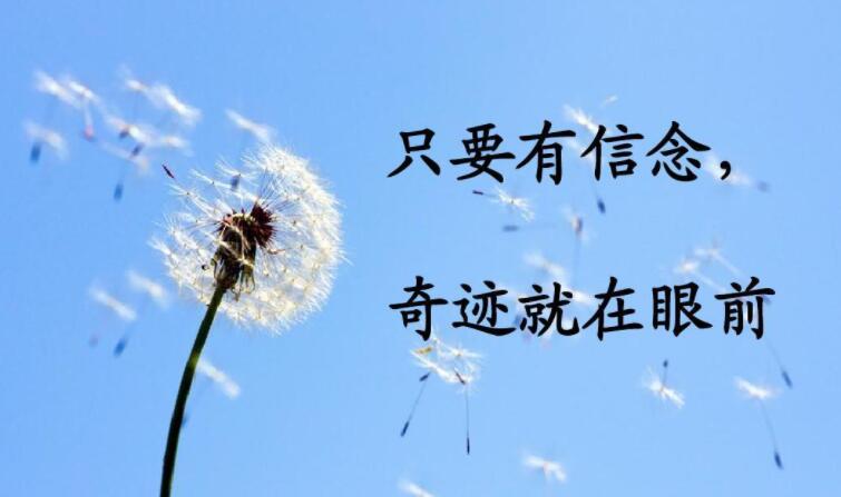 奇迹.jpg 奇迹.jpg