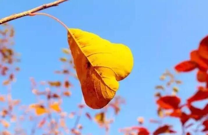 再见夏天你好秋天.jpg 再见夏天你好秋天.jpg