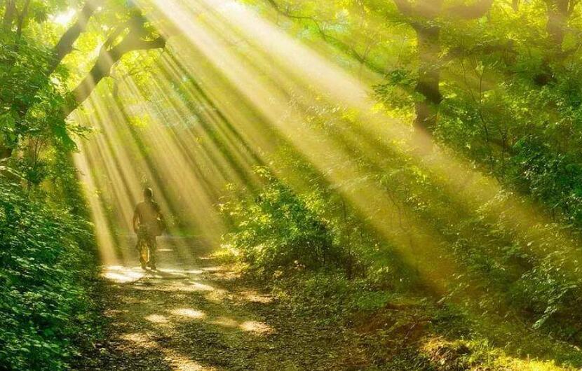 丁达尔效应.jpg 丁达尔效应.jpg