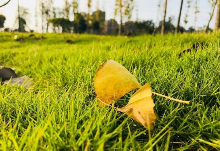 美就在我们身边.jpg 美就在我们身边.jpg