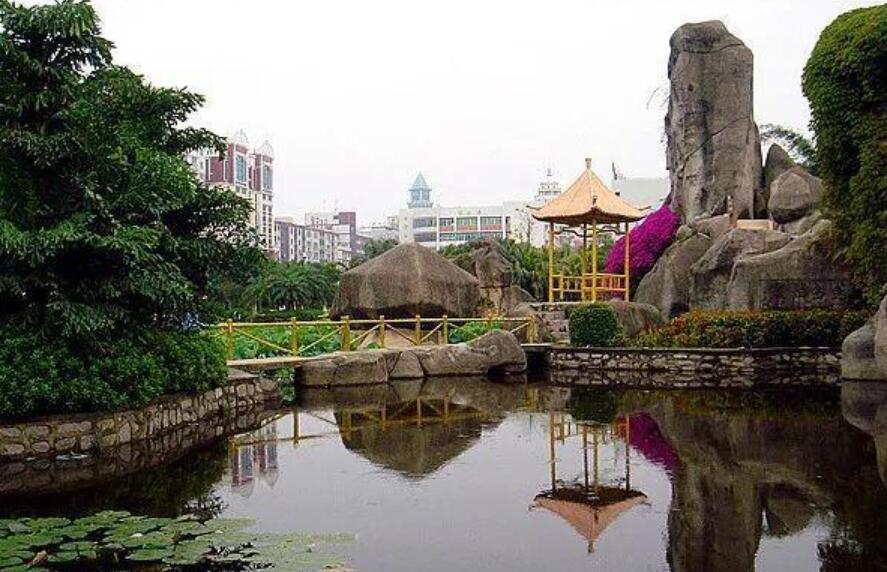 游刺桐公园.jpg 游刺桐公园.jpg