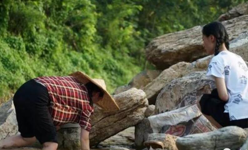 人间大爱是母爱.jpg 人间大爱是母爱.jpg