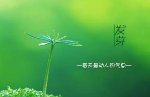 我是一棵小草.jpg 我是一棵小草.jpg