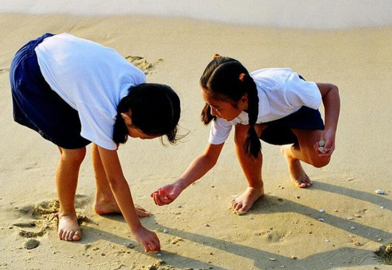 捡贝壳.jpg 捡贝壳.jpg