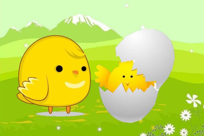 神奇的蛋壳.jpg 神奇的蛋壳.jpg