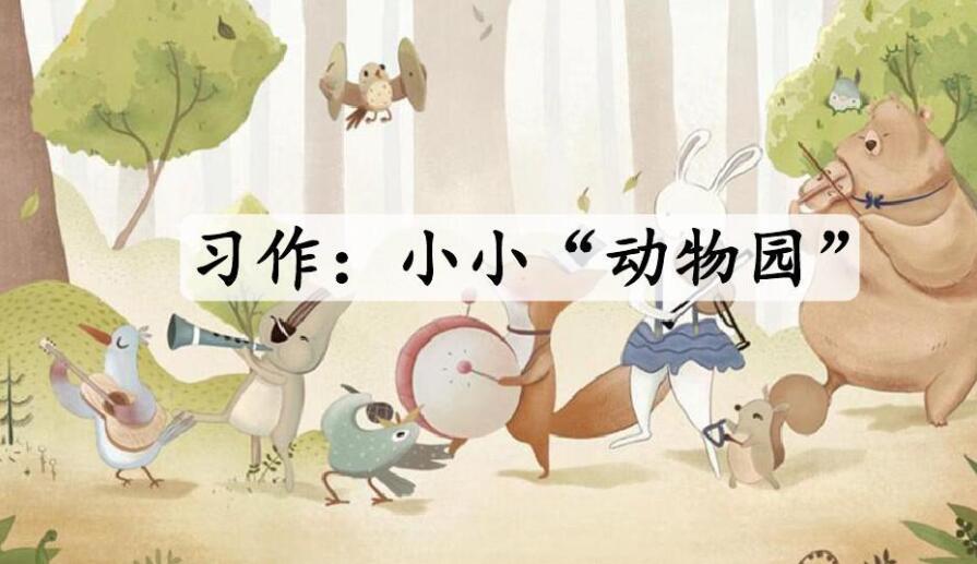 小小动物园.jpg