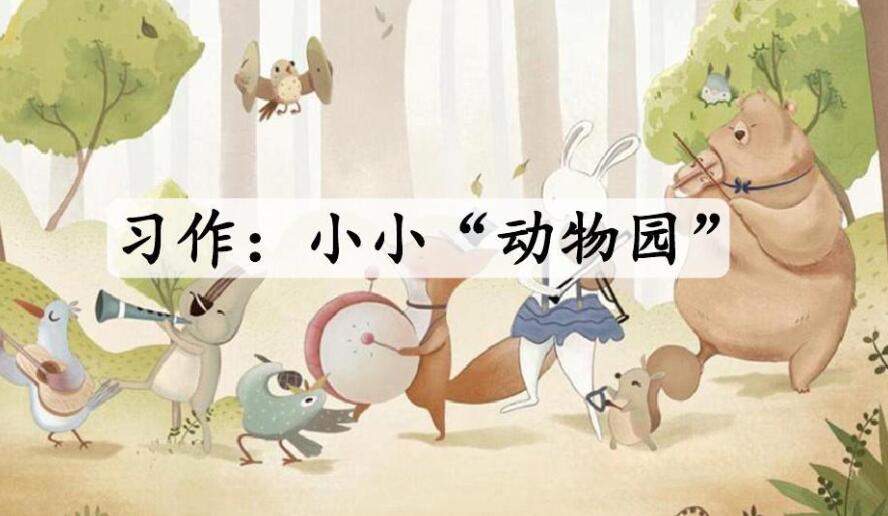 小小动物园.jpg