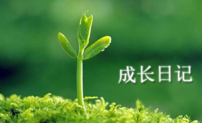 黄豆的生长.jpg 黄豆的生长.jpg