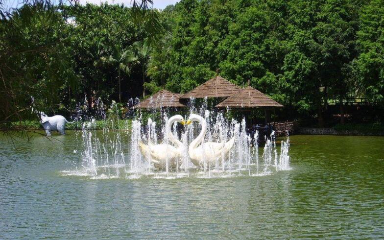 游天鹅湖.jpg 游天鹅湖.jpg