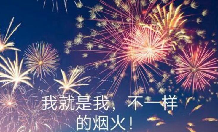 这就是我不一样的烟火.jpg