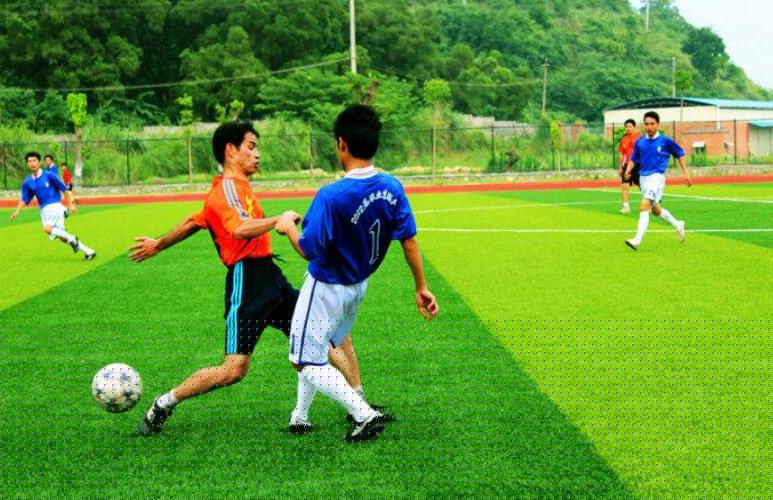 观看足球赛.jpg 观看足球赛.jpg