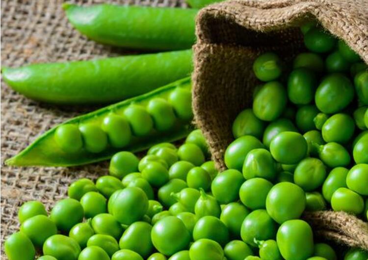 我变成了小豆粒.jpg 我变成了小豆粒.jpg