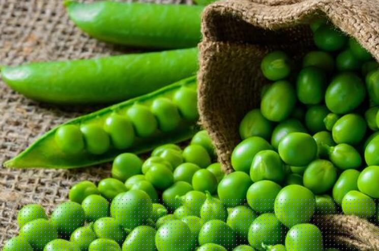 我变成了小豆粒.jpg 我变成了小豆粒.jpg