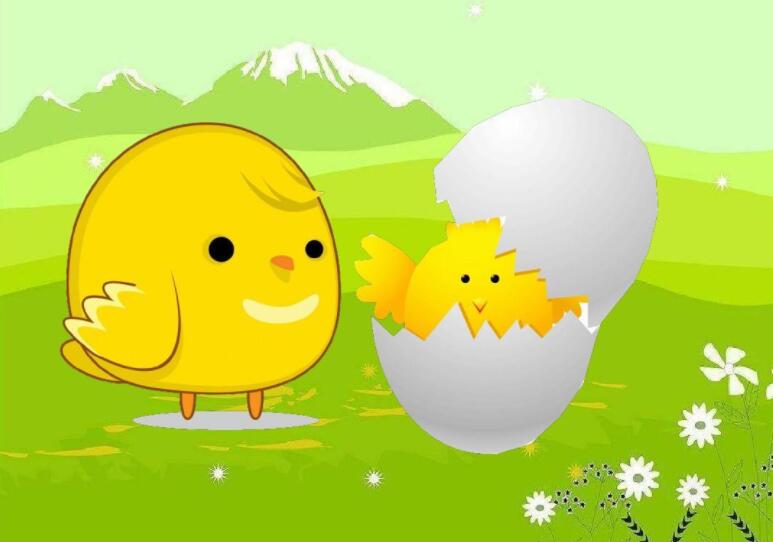 神奇的蛋壳.jpg 神奇的蛋壳.jpg