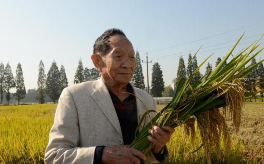 缅怀袁隆平爷爷.jpg 缅怀袁隆平爷爷.jpg