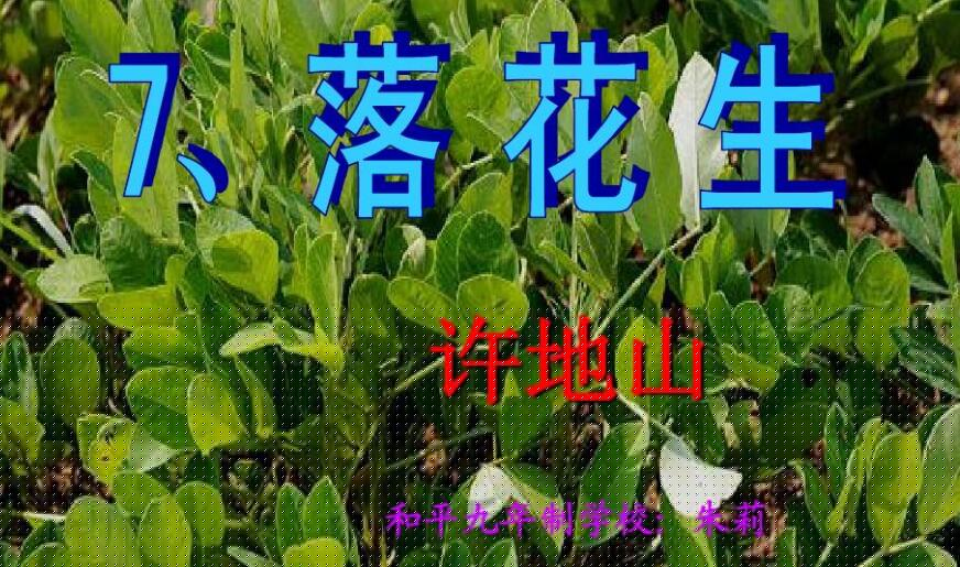 落花生仿写路灯.jpg 落花生仿写路灯.jpg