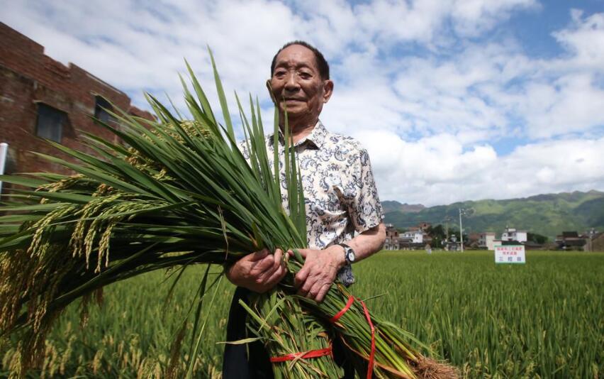 致敬袁隆平.jpg 致敬袁隆平.jpg