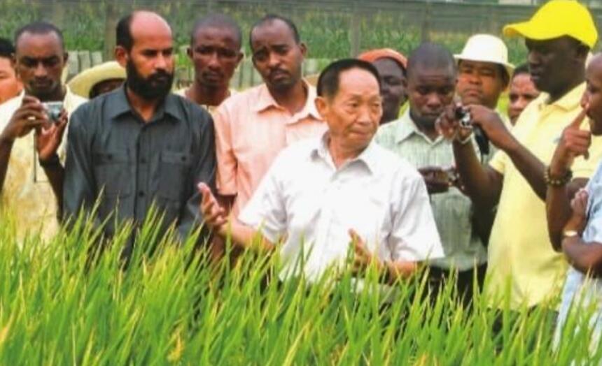 缅怀袁隆平院士.jpg 缅怀袁隆平院士.jpg