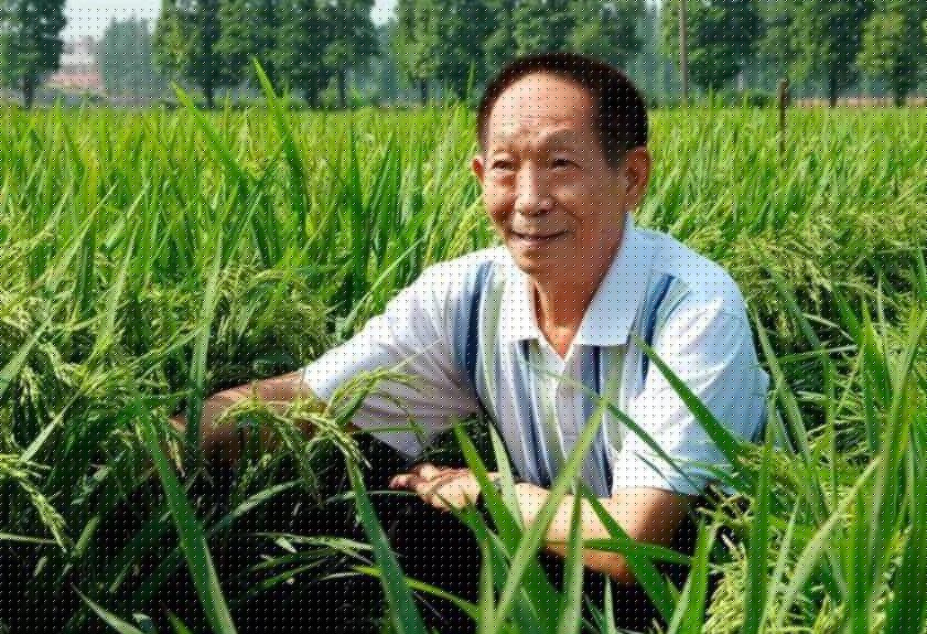 我最敬佩的人袁隆平.jpg 我最敬佩的人袁隆平.jpg