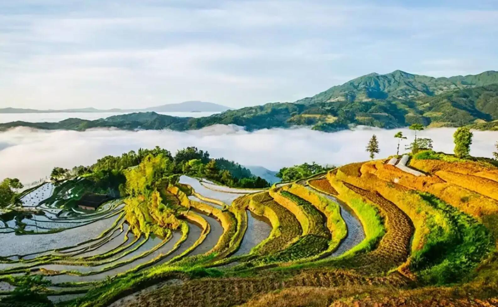 美丽.jpg 美丽.jpg