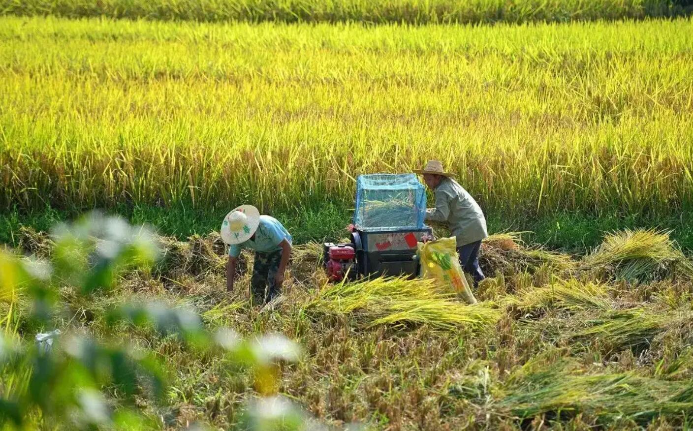 收获.jpg 收获.jpg