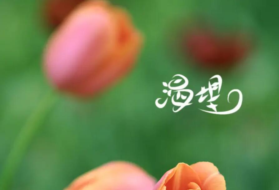 渴望.jpg 渴望.jpg