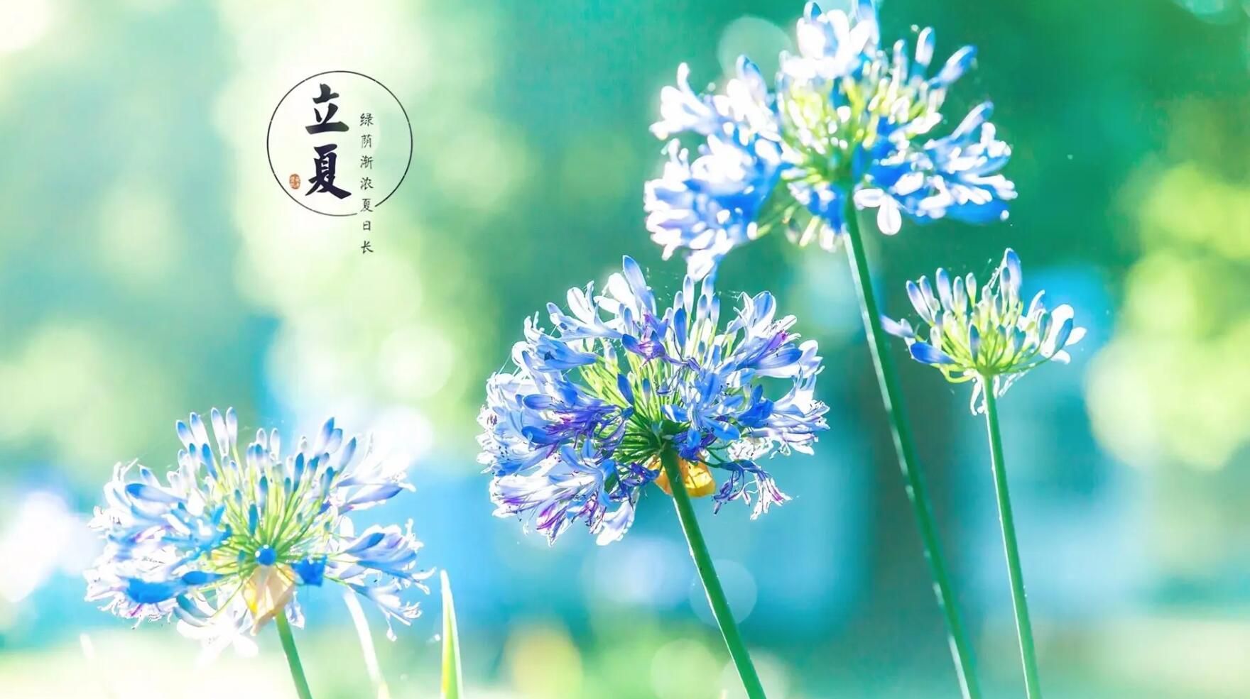 立夏.jpg 立夏.jpg