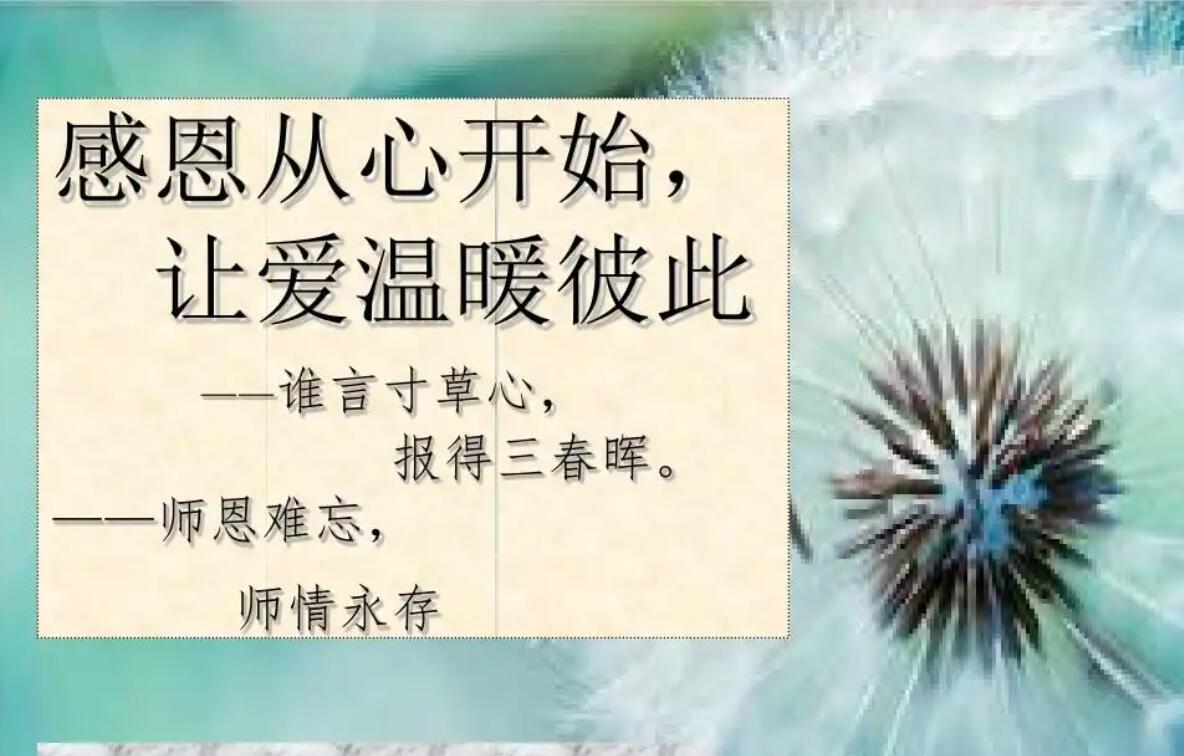 感动与爱话题.jpg 感动与爱话题.jpg