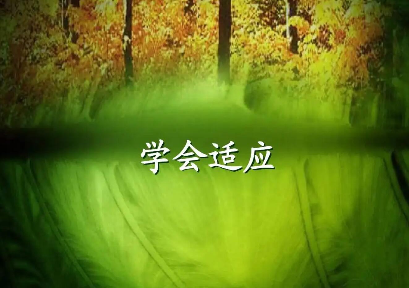 学会.jpg 学会.jpg