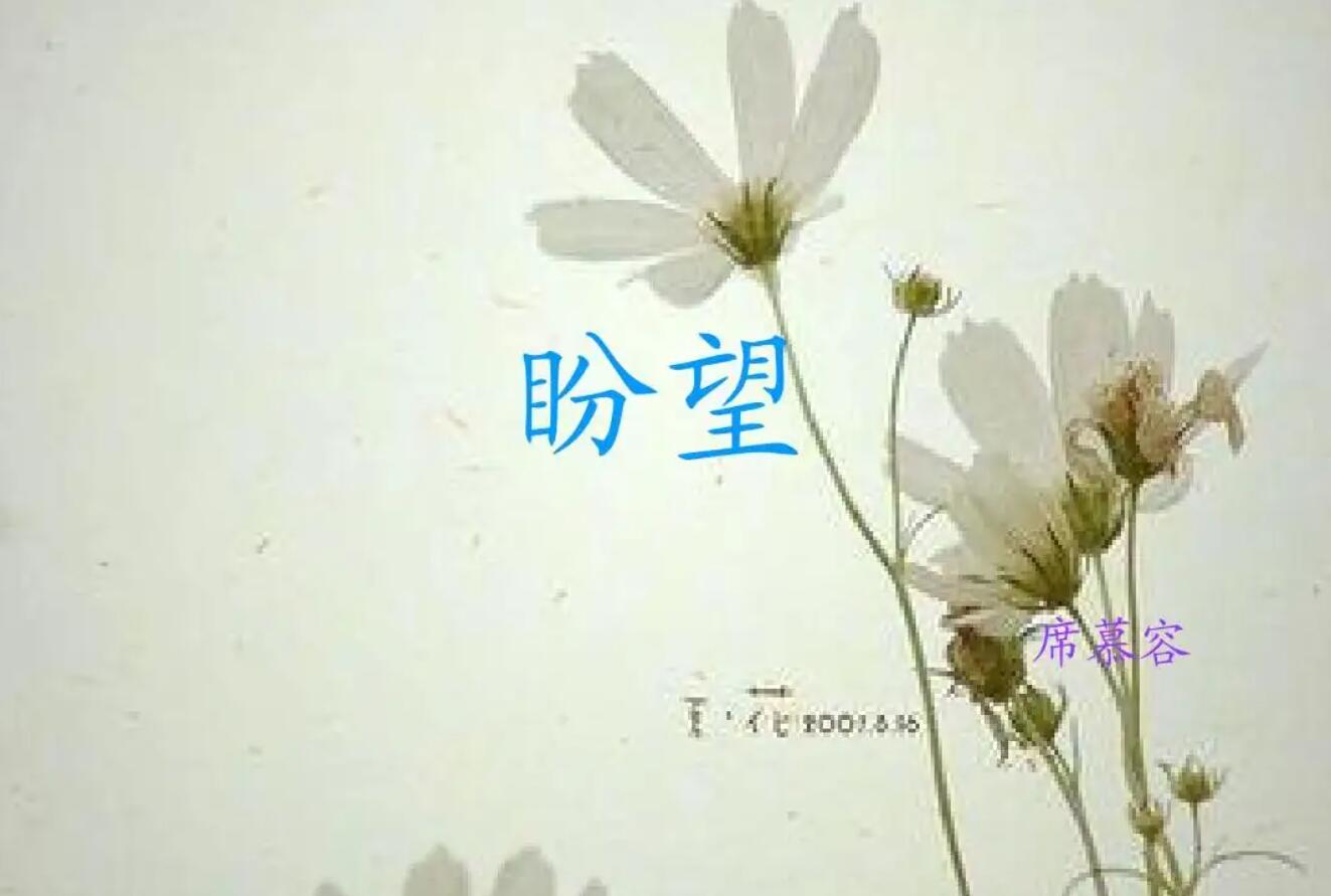 盼望六年级.jpg 盼望六年级.jpg