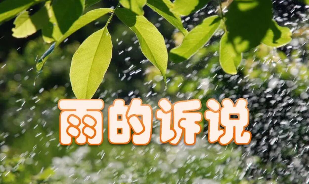 雨的诉说.jpg