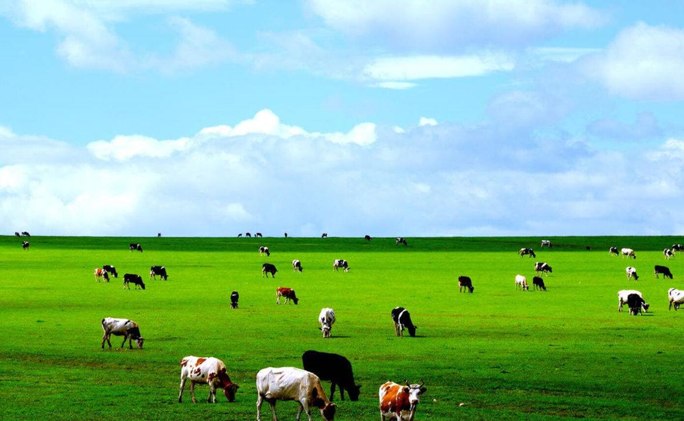 美丽的草原.jpg 美丽的草原.jpg