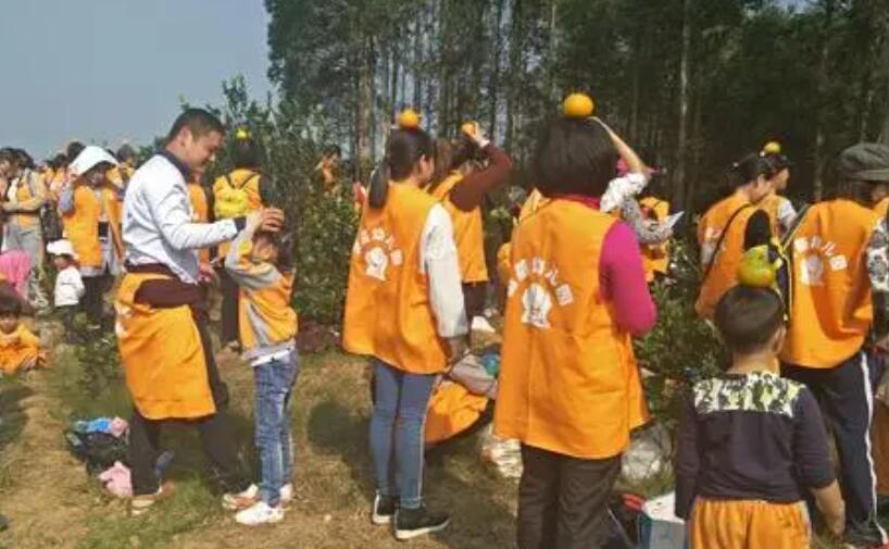 顶橘子游戏.jpg 顶橘子游戏.jpg