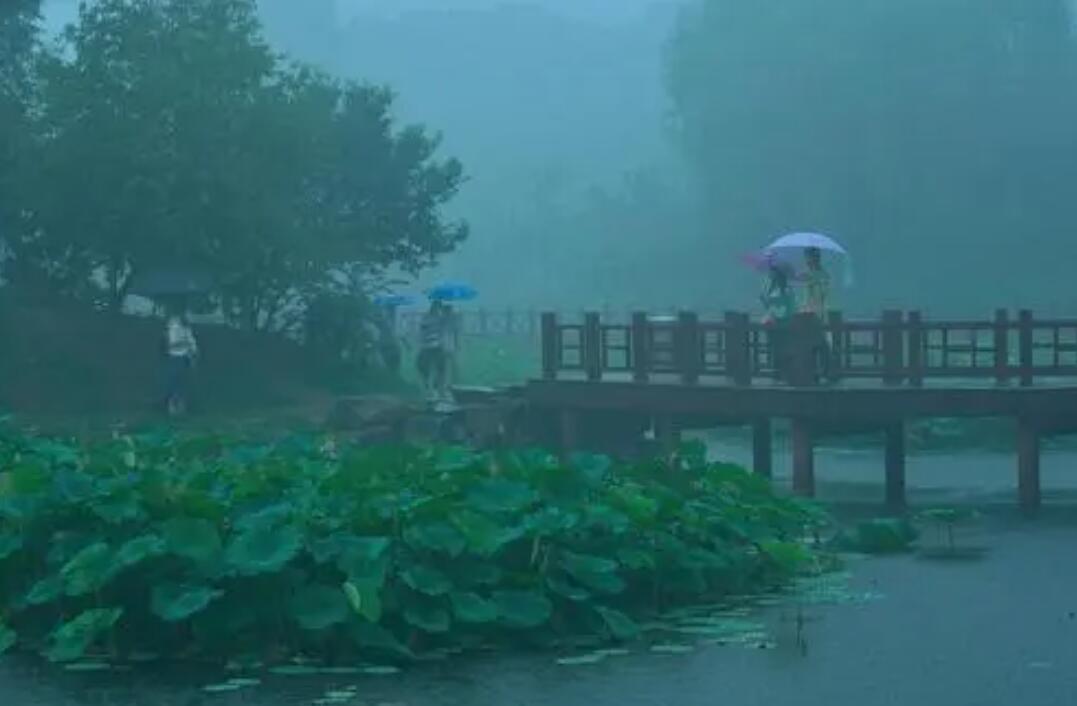 雨后即景.jpg 雨后即景.jpg