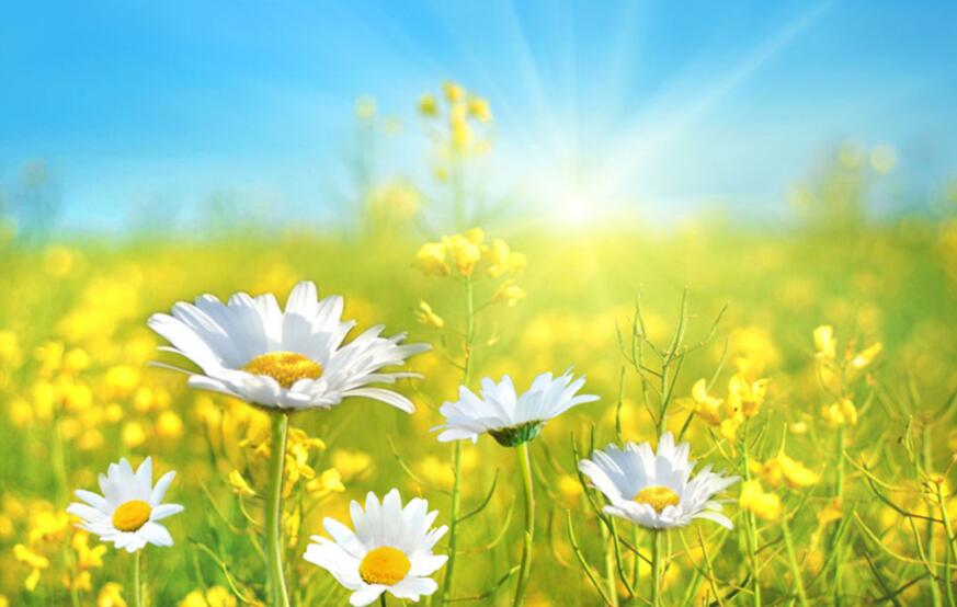 风的自述.jpg 风的自述.jpg