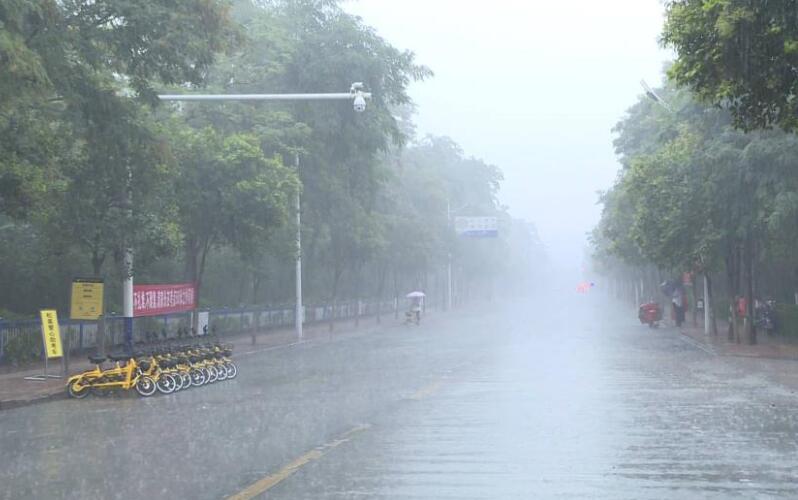 下暴雨.jpg 下暴雨.jpg