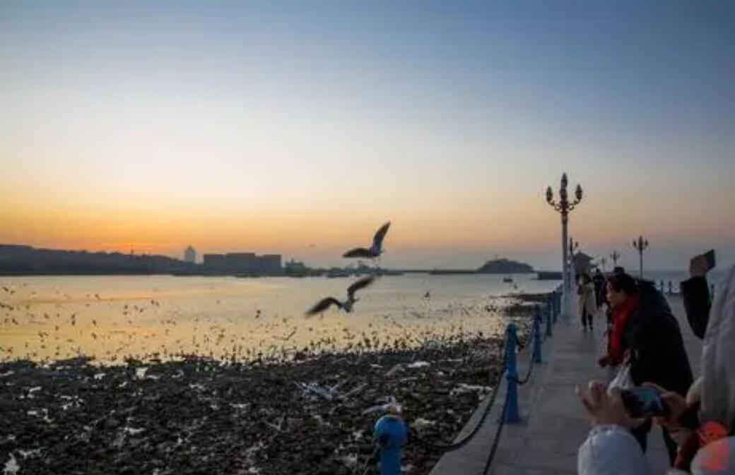 游青岛.jpg 游青岛.jpg