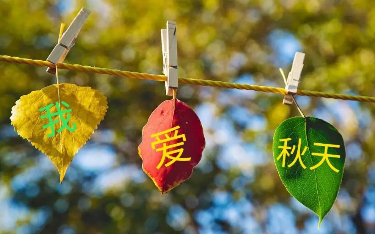 我爱秋天.jpg
