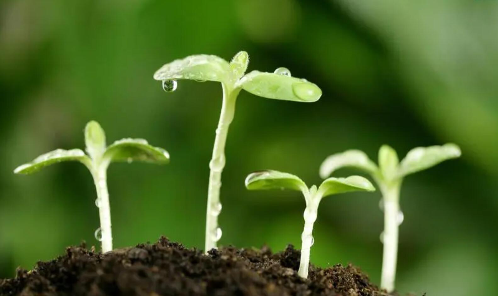 关于春天.jpg 关于春天.jpg