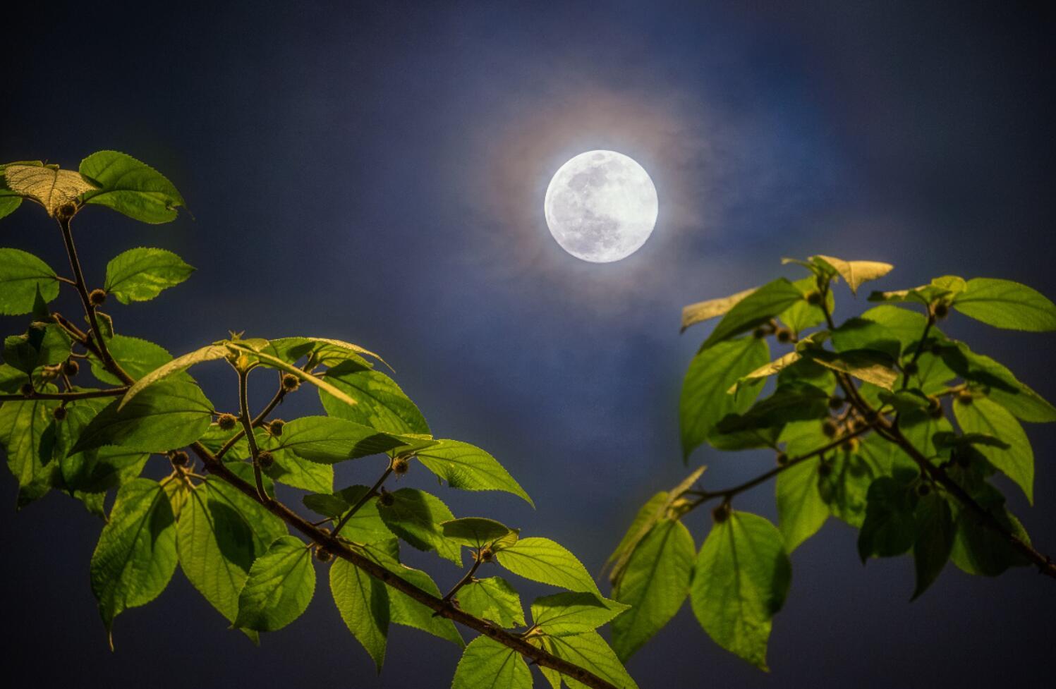 月亮.jpg 月亮.jpg