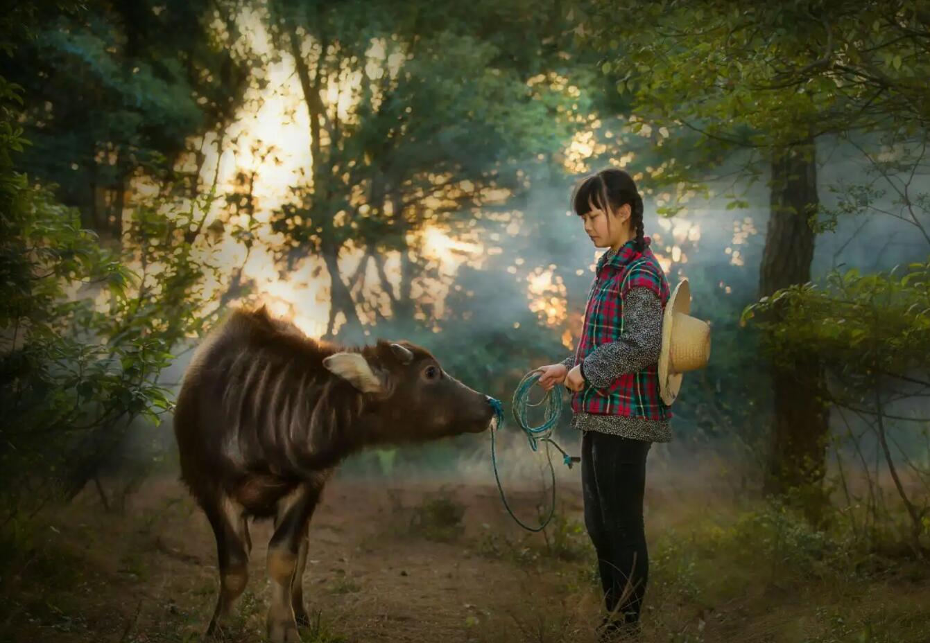 乡情.jpg 乡情.jpg