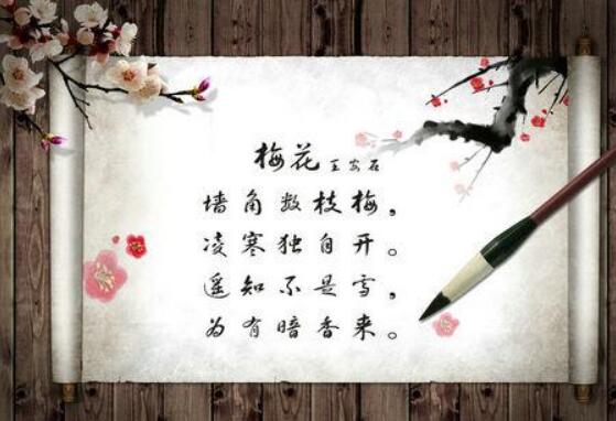 赞美梅花.jpg 赞美梅花.jpg